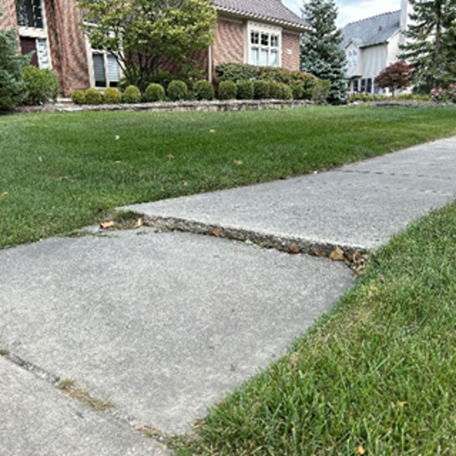 Sidewalk Repair Program