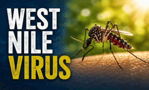 West Nile Virus info