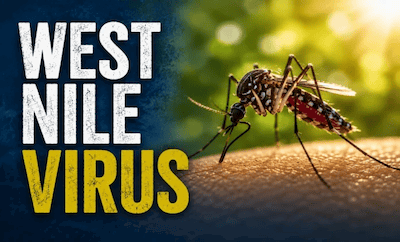 West Nile Virus info