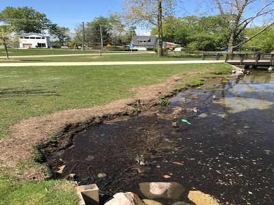 Waters edge with green grass