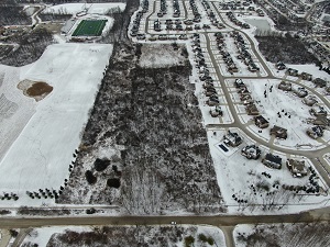 Ariel view of park area in black and white