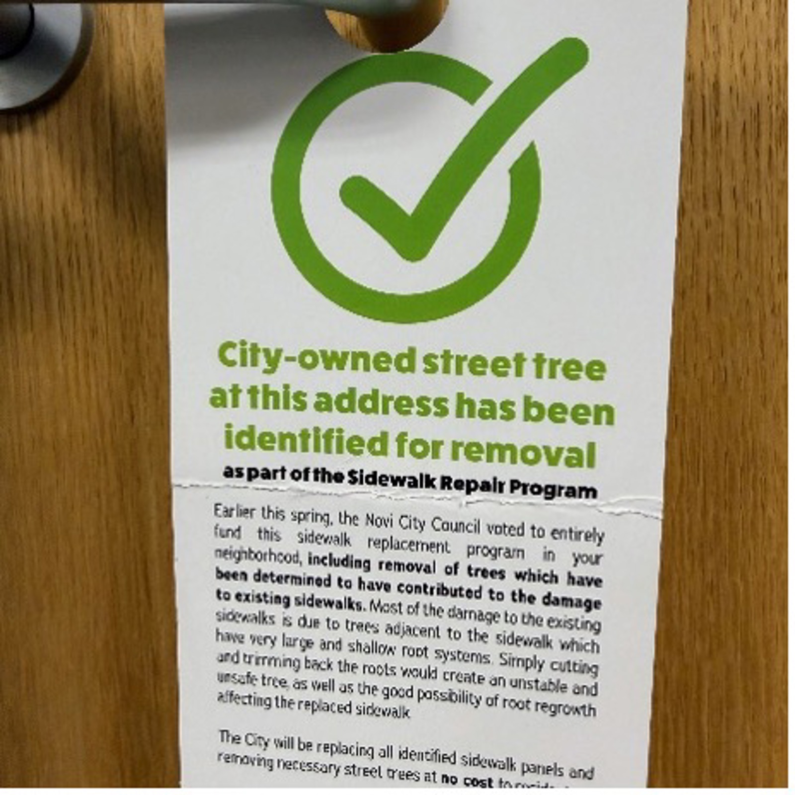 City Owned Street Tree 