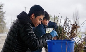 Earth and Arbor Week - April 20-25