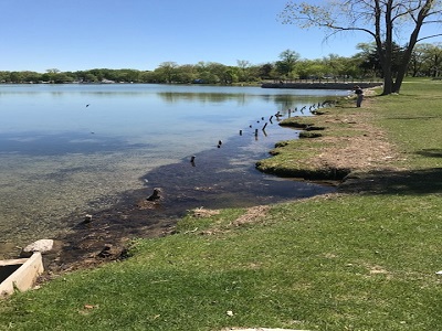 Waters edge with green grass