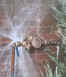 Failed Backflow Preventer