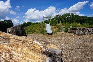 Trail in park